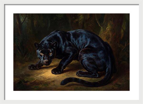 Majestic Panther In Shadows