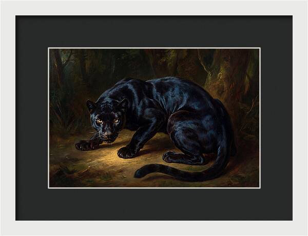 Majestic Panther In Shadows
