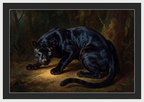 Majestic Panther In Shadows