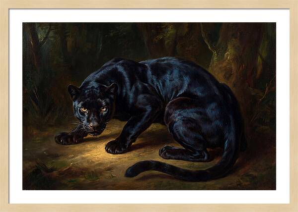 Majestic Panther In Shadows