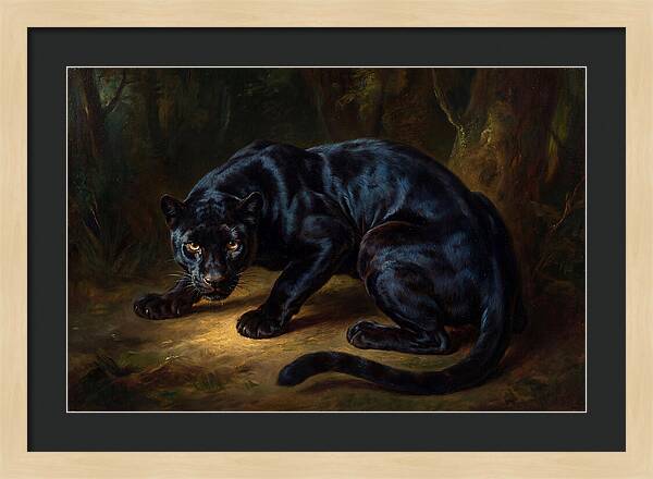 Majestic Panther In Shadows