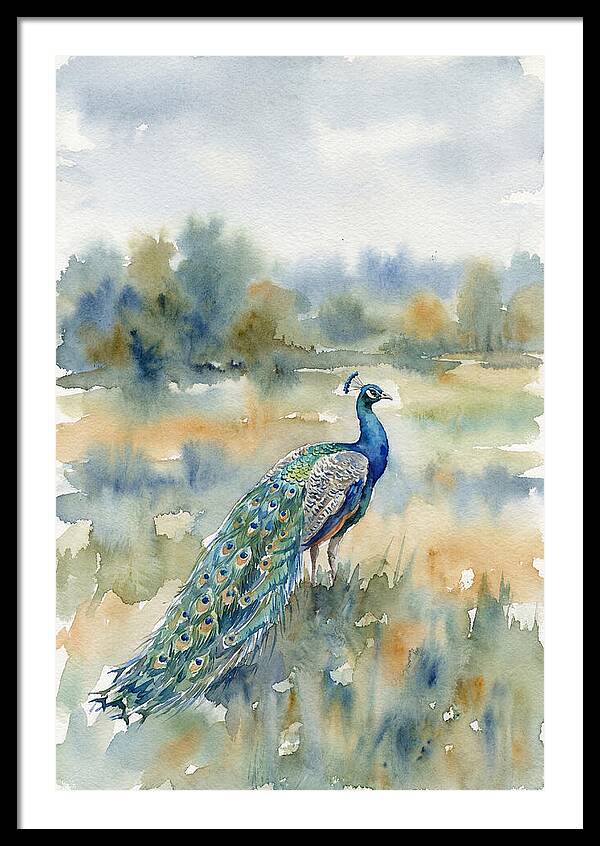 Majestic Peacock In Nature