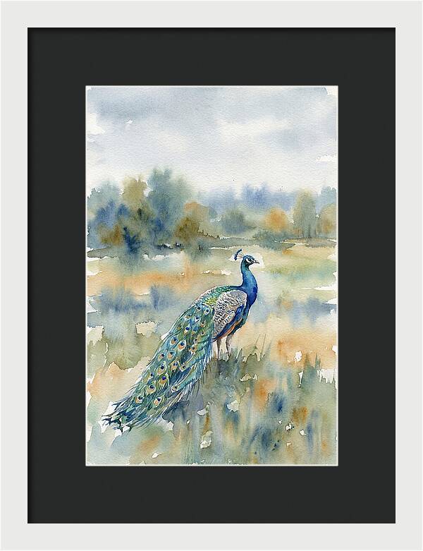 Majestic Peacock In Nature