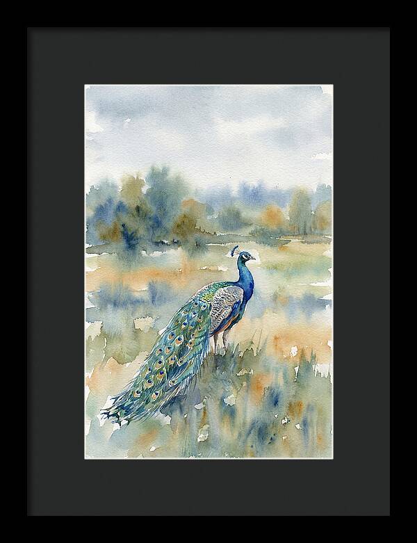 Majestic Peacock In Nature