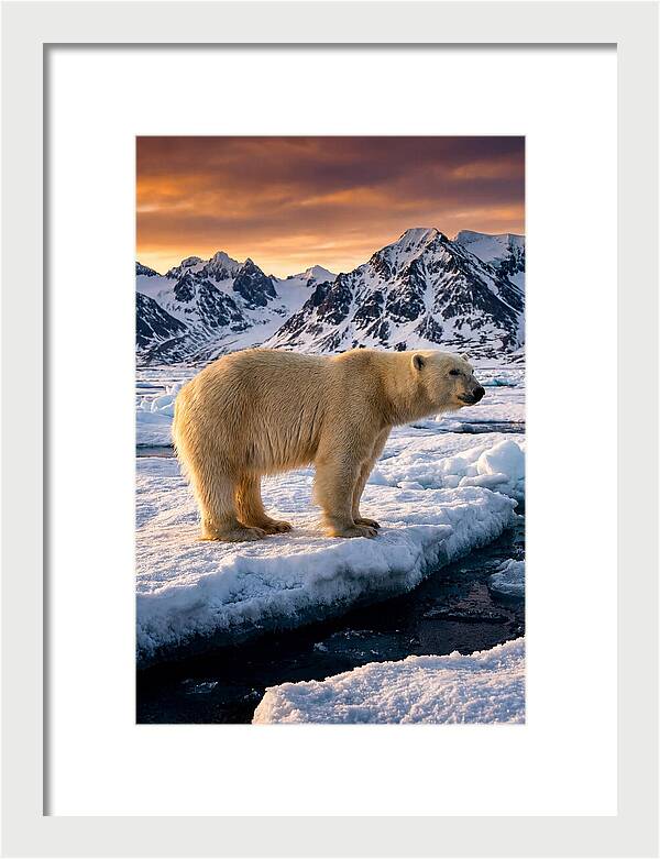 Majestic Polar Bear Among Svalbard Ice