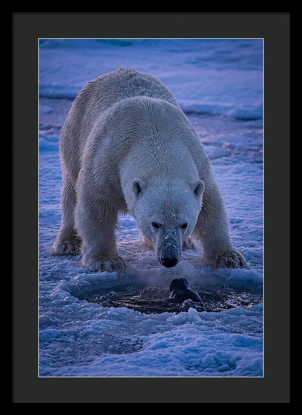 Majestic Polar Bear In Action