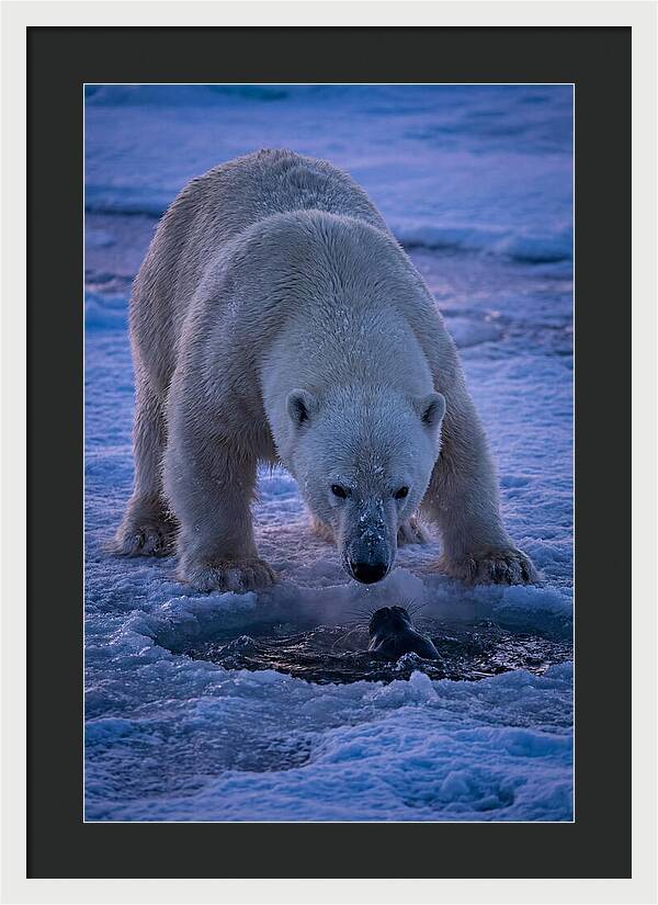 Majestic Polar Bear In Action