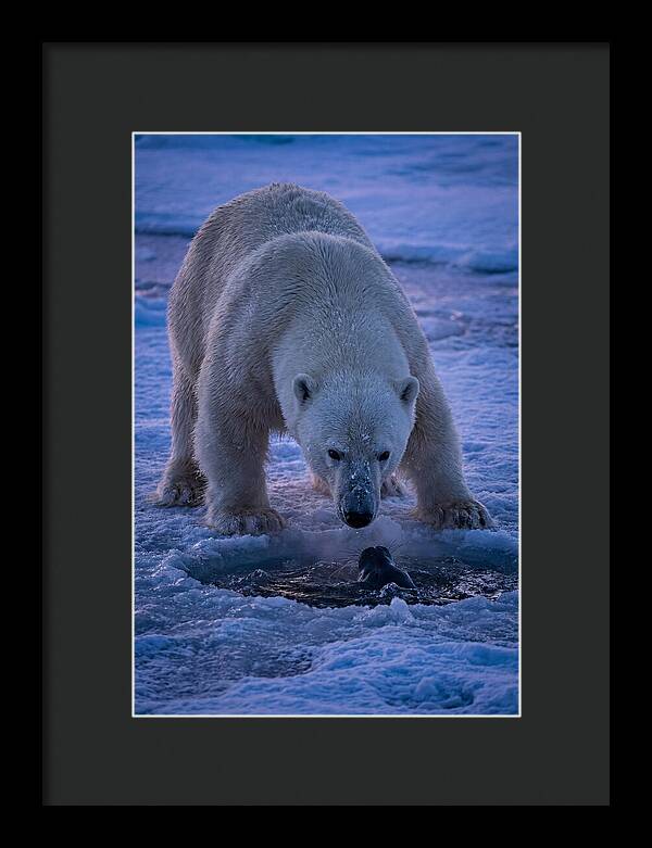 Majestic Polar Bear In Action