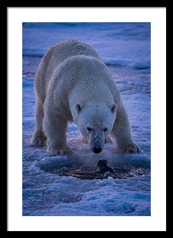 Majestic Polar Bear In Action