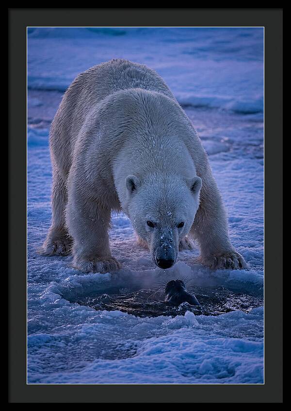 Majestic Polar Bear In Action