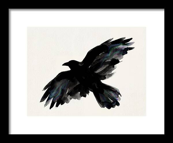 Majestic Raven Soaring