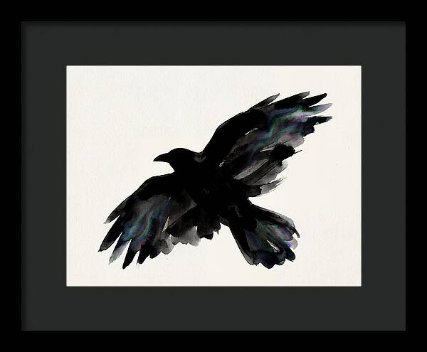 Majestic Raven Soaring