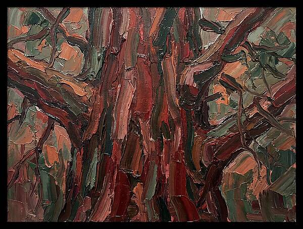 Majestic Redwood Embrace