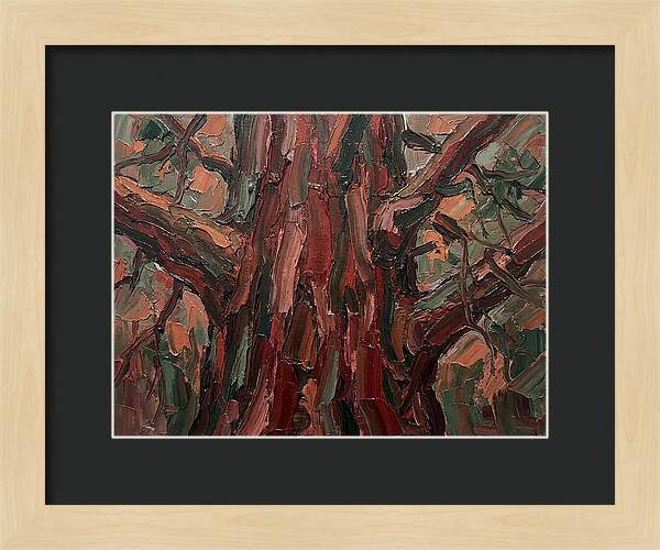 Majestic Redwood Embrace