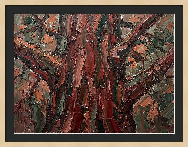 Majestic Redwood Embrace