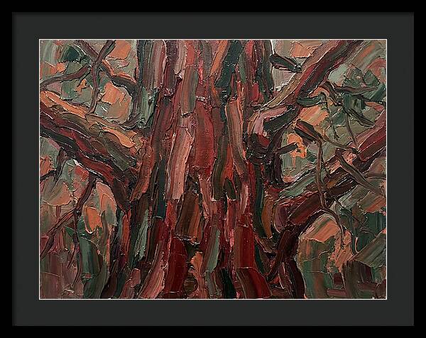 Majestic Redwood Embrace