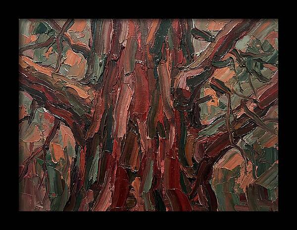 Majestic Redwood Embrace