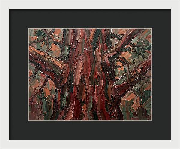 Majestic Redwood Embrace