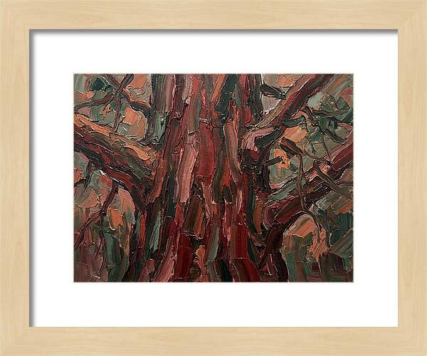 Majestic Redwood Embrace