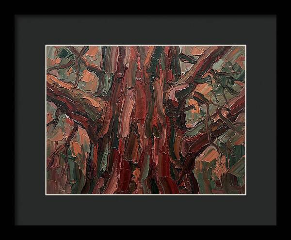 Majestic Redwood Embrace