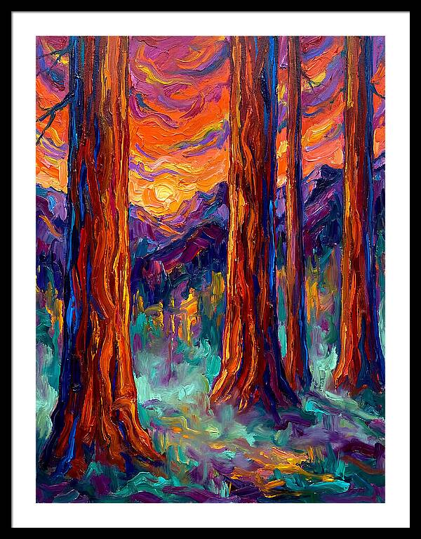 Majestic Redwood Sunset