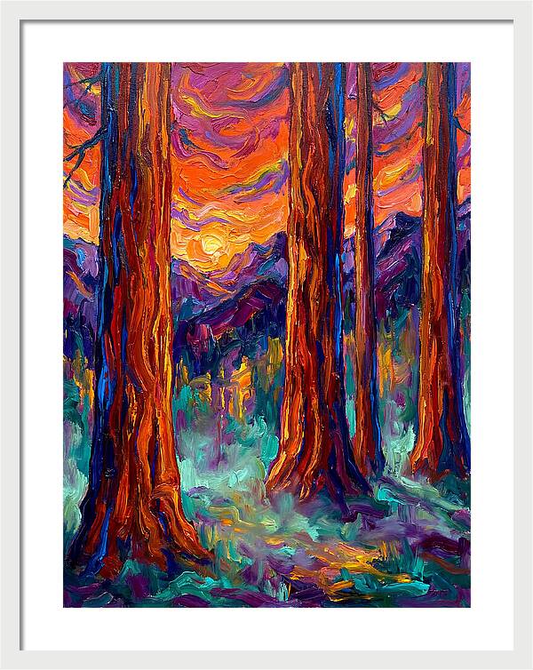 Majestic Redwood Sunset