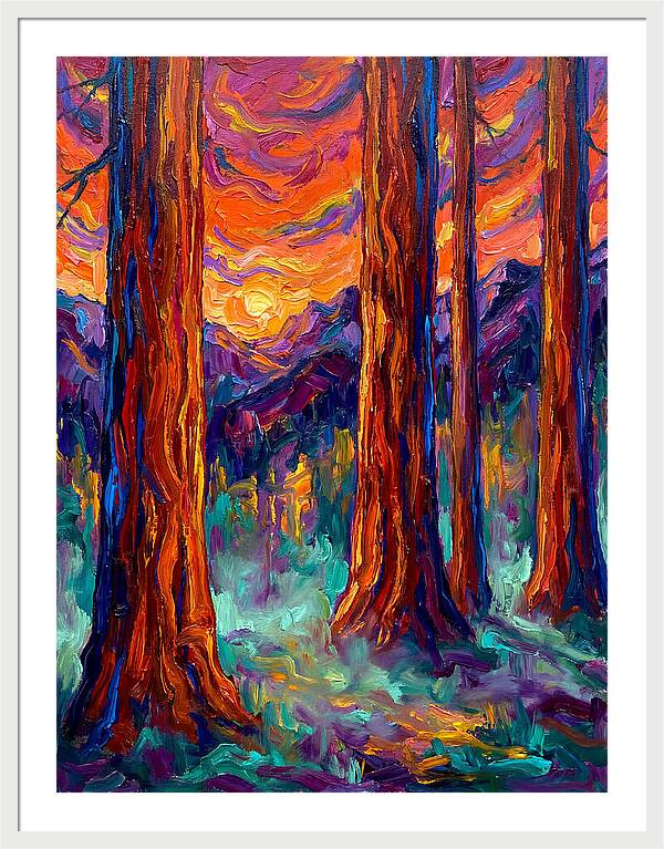 Majestic Redwood Sunset