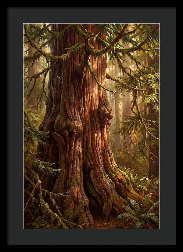 Majestic Redwood Tree