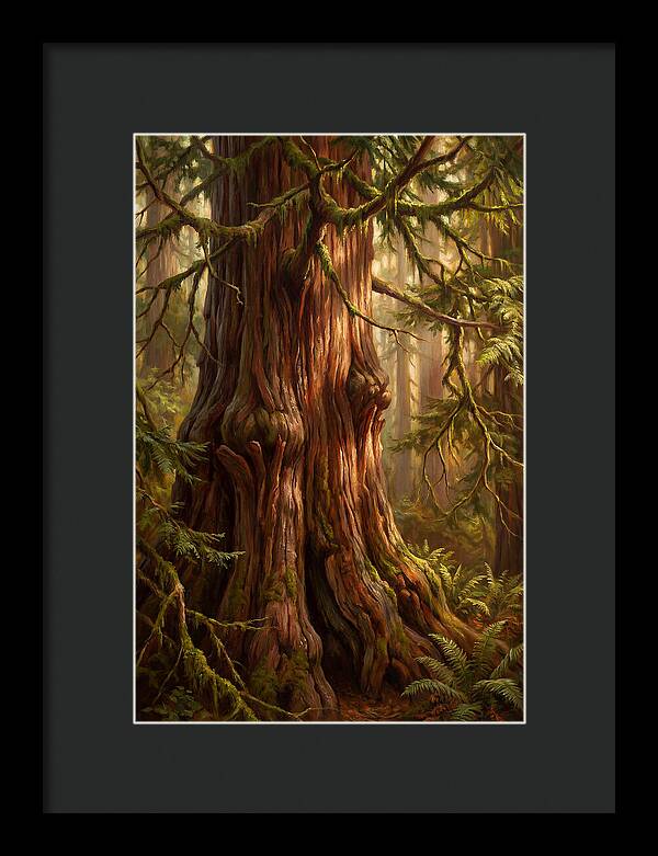 Majestic Redwood Tree