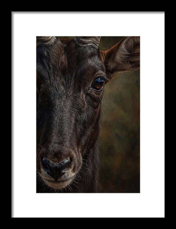 Majestic Sable Antelope Closeup