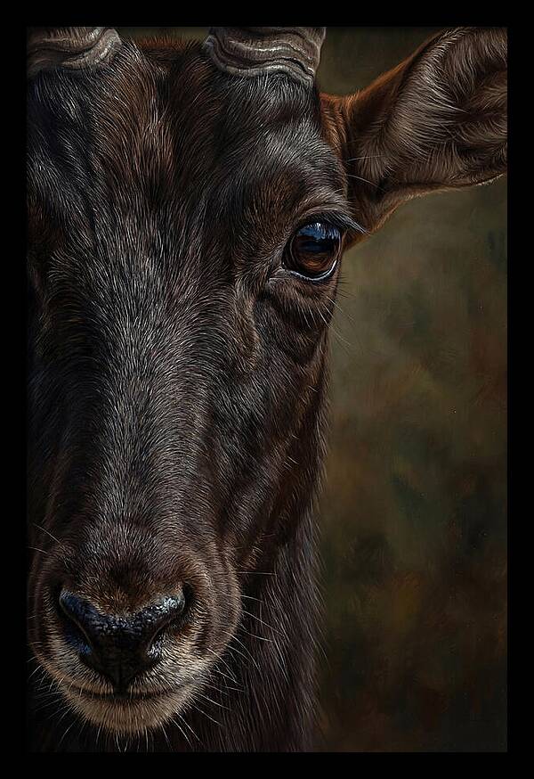 Majestic Sable Antelope Closeup