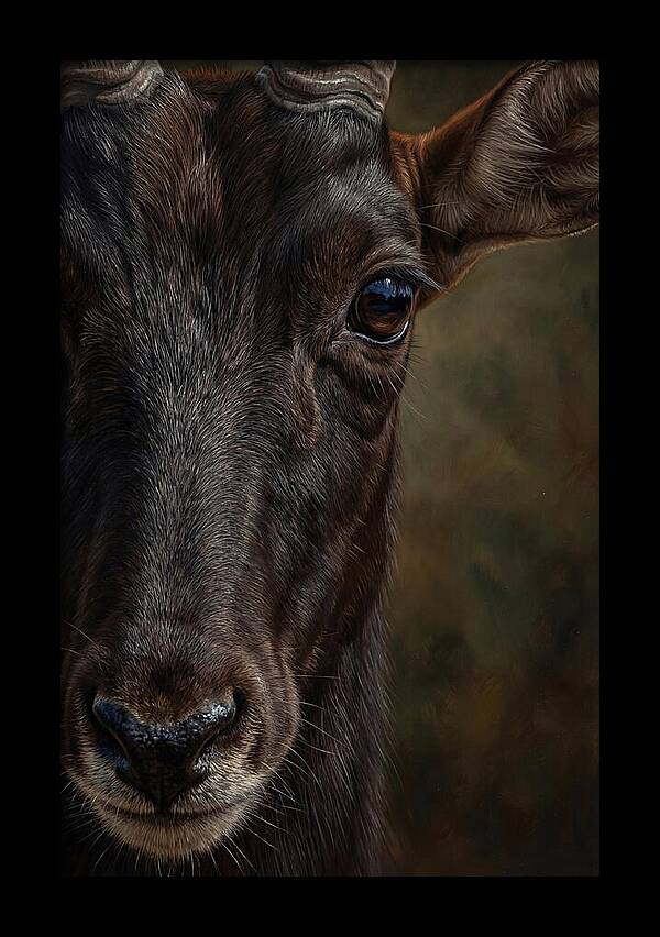 Majestic Sable Antelope Closeup