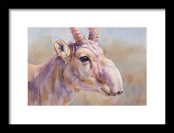 Majestic Saiga Antelope Closeup
