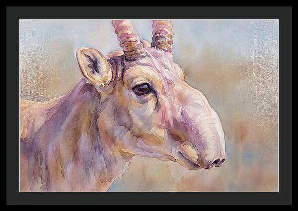 Majestic Saiga Antelope Closeup