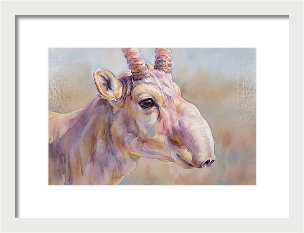 Majestic Saiga Antelope Closeup