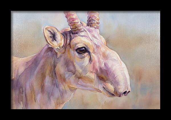 Majestic Saiga Antelope Closeup
