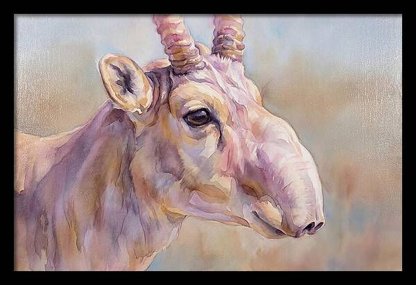 Majestic Saiga Antelope Closeup