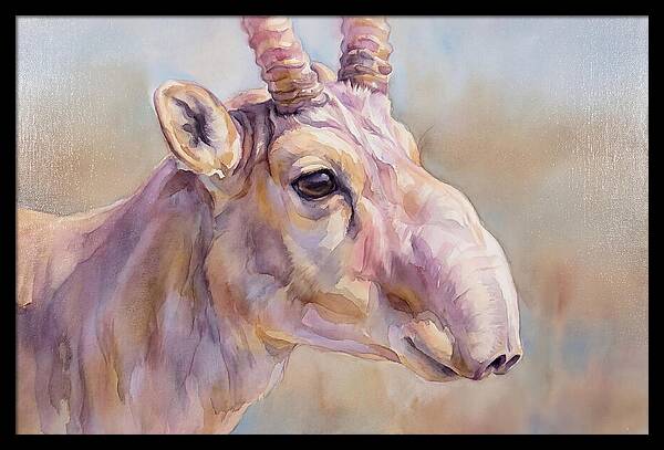Majestic Saiga Antelope Closeup