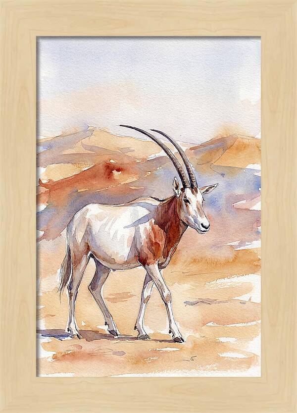 Majestic Scimitar Oryx In Arid Terrain