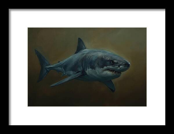 Majestic Shark In Motion