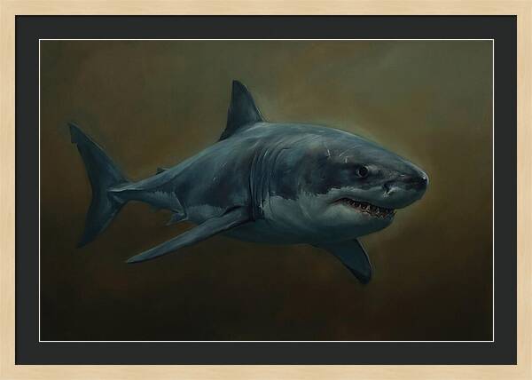 Majestic Shark In Motion