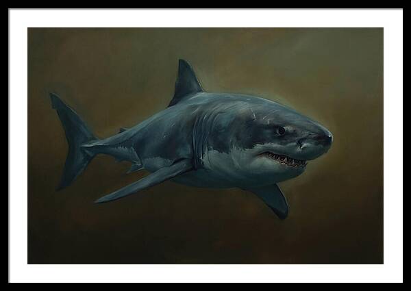 Majestic Shark In Motion