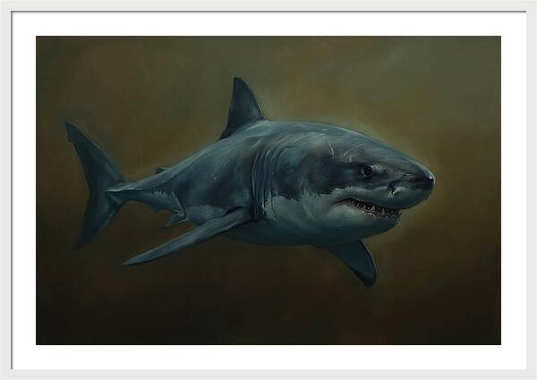 Majestic Shark In Motion