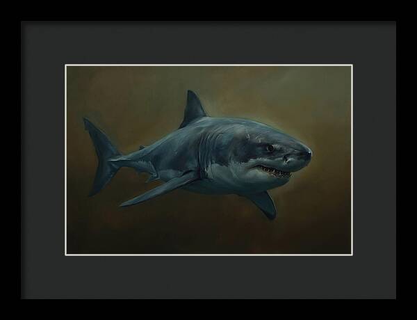 Majestic Shark In Motion