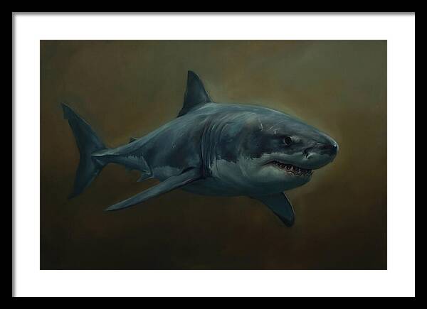 Majestic Shark In Motion