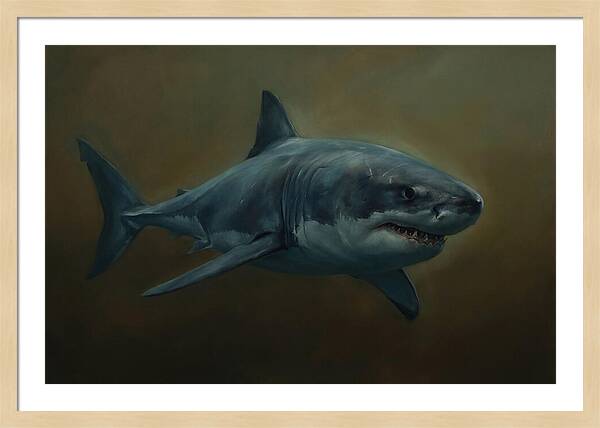 Majestic Shark In Motion