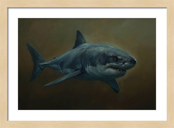 Majestic Shark In Motion