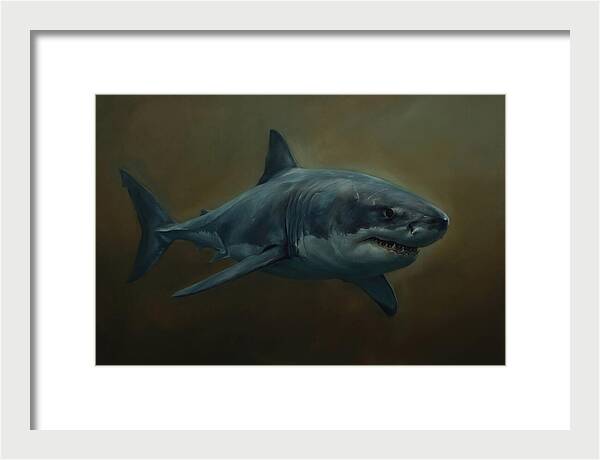 Majestic Shark In Motion