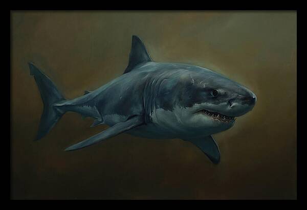 Majestic Shark In Motion