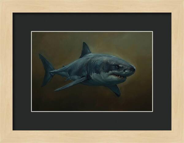 Majestic Shark In Motion